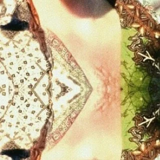 leroy.ttf [2020-02-24T10ː32ː41.000Z] B88kbuEnATx.jpg