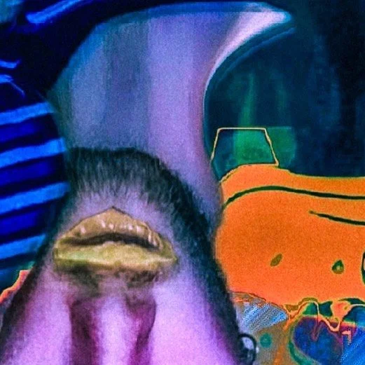 leroy.ttf [2021-01-13T13ː03ː21.000Z] CJ_HOyEnR9z.jpg