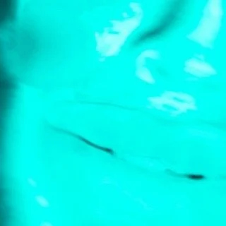 leroy.ttf [2021-02-19T04ː48ː17.000Z] CLdf_LjHMLW.jpg