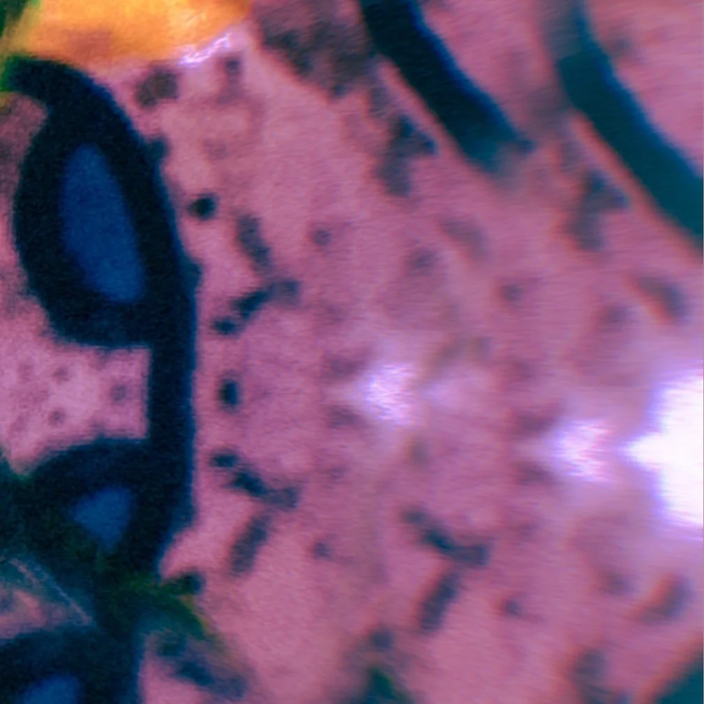 leroy.ttf [2021-01-22T18ː20ː12.000Z] CKW2pWyHgbH.jpg