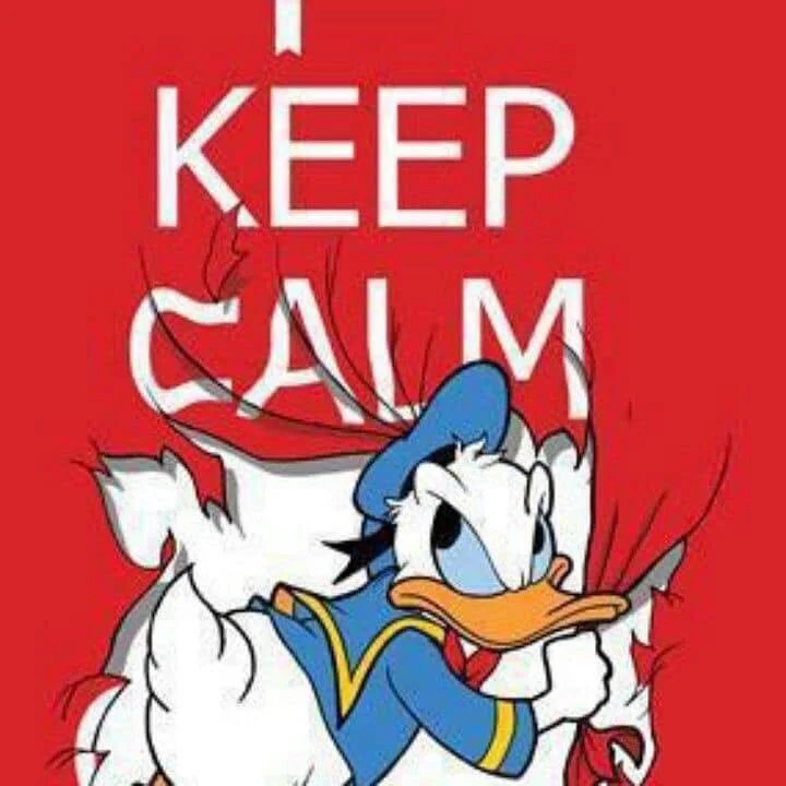 leroy.ttf [2020-02-24T21ː24ː27.000Z] B89vBZXHdMn.jpg