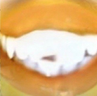 leroy.ttf [2020-08-21T11ː54ː33.000Z] CEJoF-PHe8W.jpg