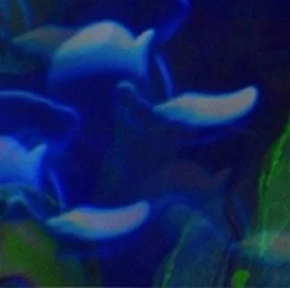 leroy.ttf [2021-01-04T00ː41ː01.000Z] CJmnHzwHtZc.jpg