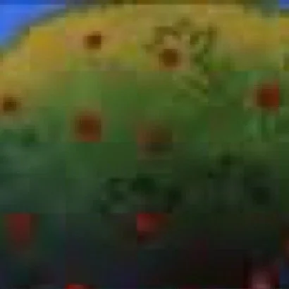 leroy.ttf [2020-06-26T20ː24ː26.000Z] CB6V7bQHN0H.jpg