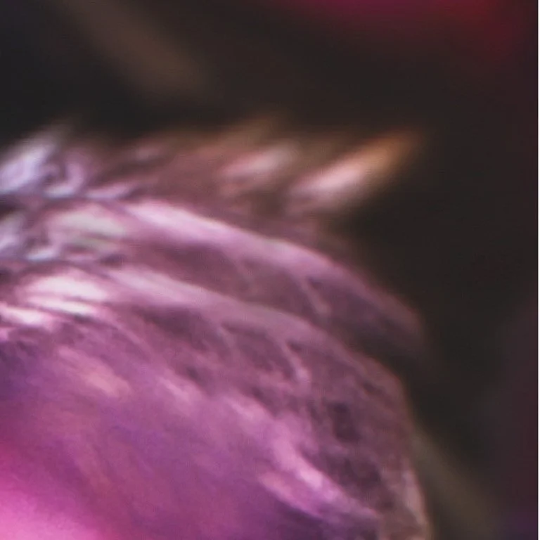 leroy.ttf [2021-01-29T10ː29ː32.000Z] CKoCWKcn_-h.jpg