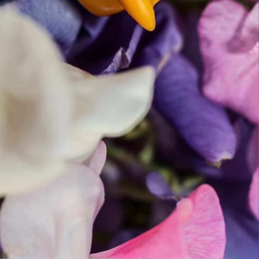 leroy.ttf [2021-01-20T23ː01ː31.000Z] CKSNP6RHSZp.jpg