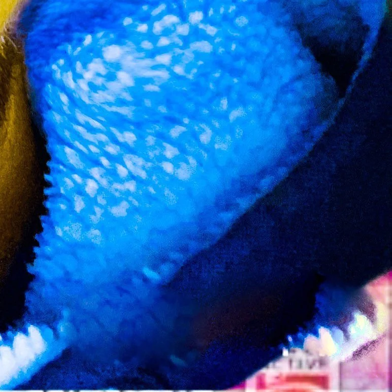 leroy.ttf [2020-08-31T11ː12ː32.000Z] CEjTO73HMRT.jpg