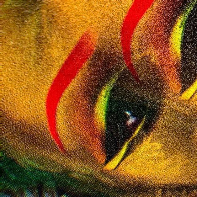 leroy.ttf [2021-02-06T22ː28ː18.000Z] CK969ioHRGR.jpg