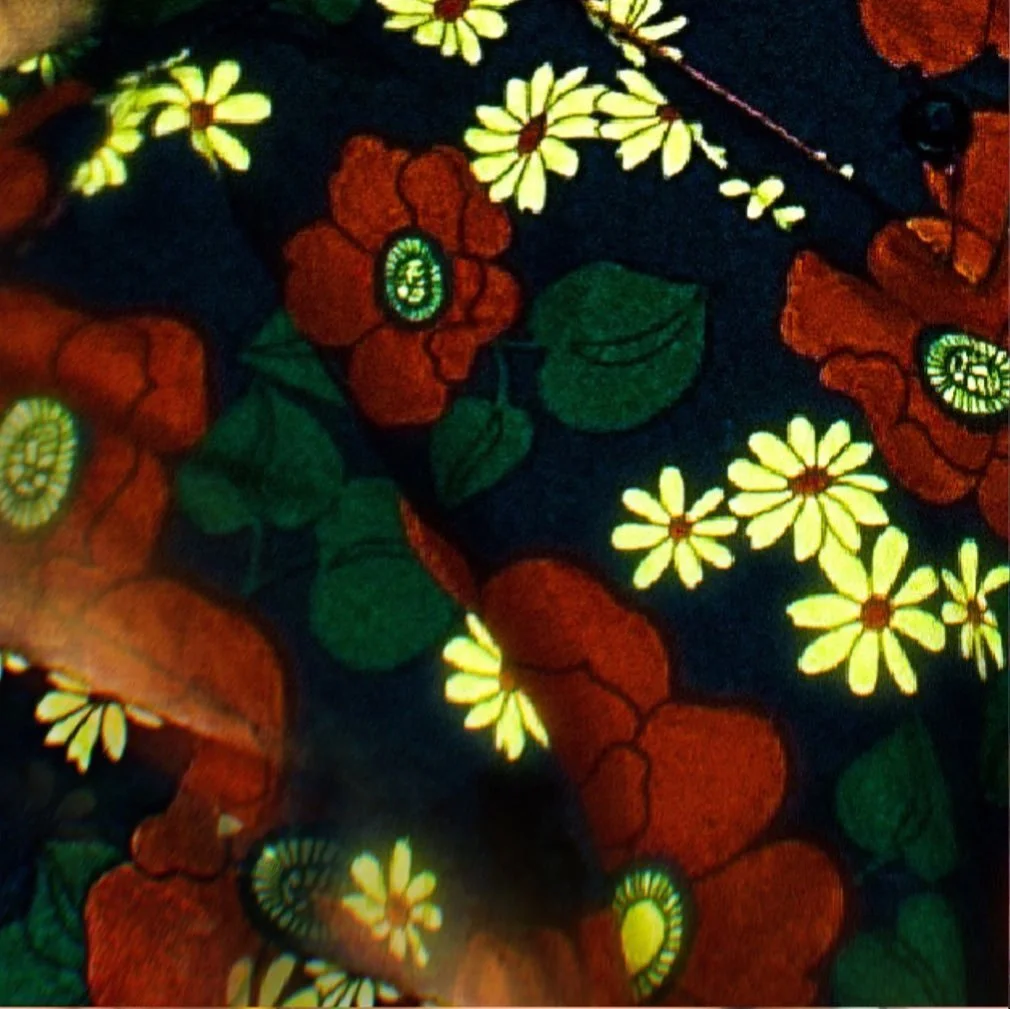 leroy.ttf [2021-01-22T18ː11ː17.000Z] CKW1n7wHEFz.jpg