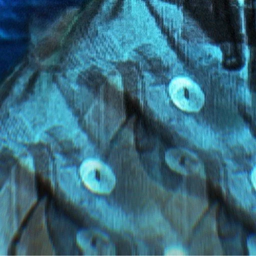 leroy.ttf [2020-12-06T23ː35ː35.000Z] CIeZYEfHE4P.jpg