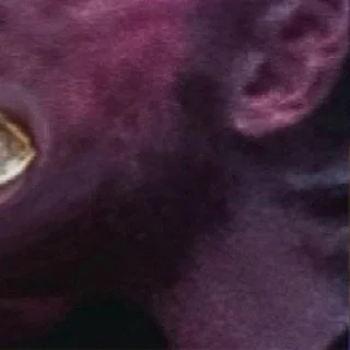 leroy.ttf [2020-11-30T14ː26ː45.000Z] CIN9zEhnfKq.jpg