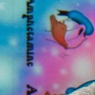 leroy.ttf [2020-12-29T23ː31ː46.000Z] CJZnOSyHgoE.jpg