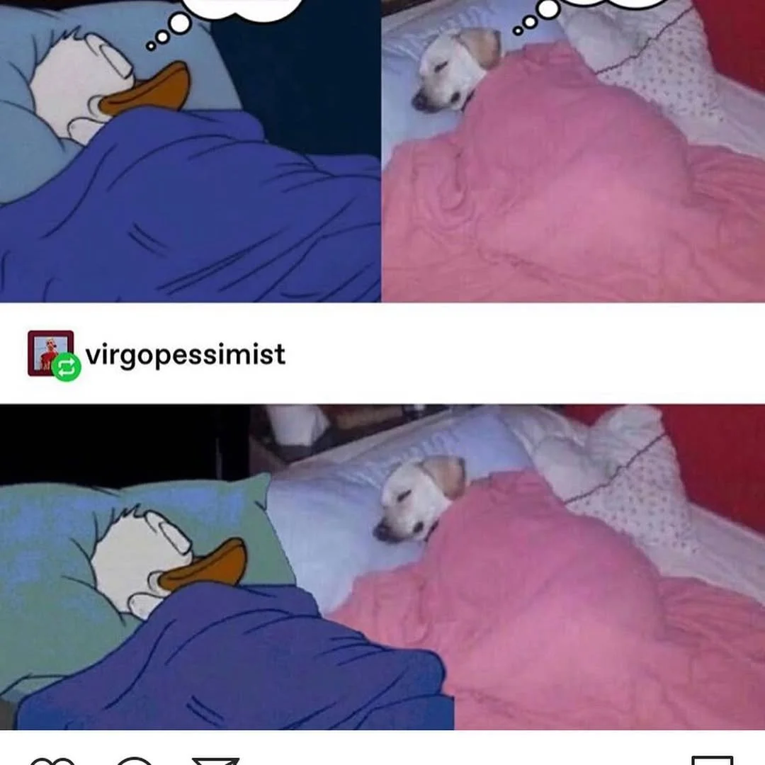 leroy.ttf [2020-03-27T22ː23ː11.000Z] B-QPLoKn07E_2.jpg