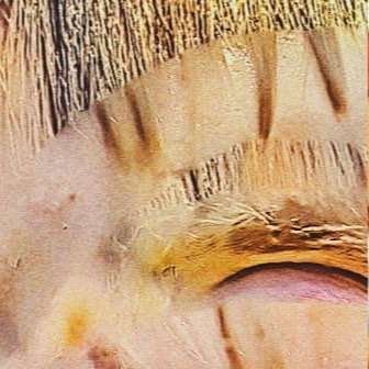 leroy.ttf [2020-08-17T20ː44ː45.000Z] CEARltCnk_Y.jpg