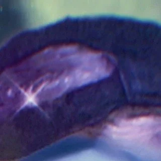 leroy.ttf [2020-09-09T21ː32ː57.000Z] CE7lY7tHTU2.jpg