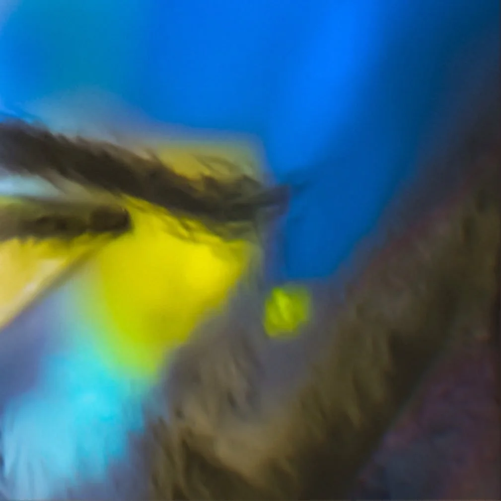 leroy.ttf [2021-01-20T23ː00ː49.000Z] CKSNKy2nt8G.jpg