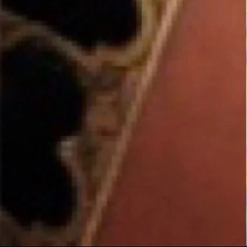 leroy.ttf [2020-07-08T19ː56ː42.000Z] CCZMSzqHqkD.jpg