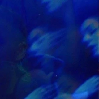 leroy.ttf [2021-01-04T00ː41ː05.000Z] CJmnIZWnBFu.jpg