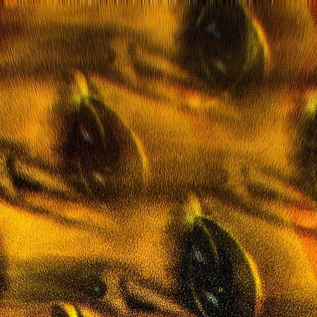 leroy.ttf [2021-02-06T22ː28ː45.000Z] CK97A4BHVb2.jpg