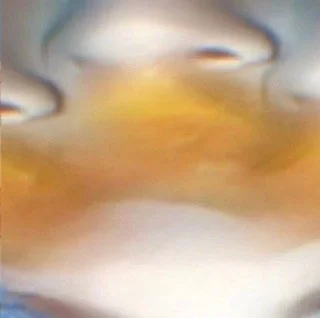 leroy.ttf [2020-08-21T11ː54ː37.000Z] CEJoGapnG2J.jpg