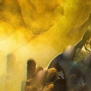 leroy.ttf [2020-12-03T16ː09ː33.000Z] CIV38pVnRF9.jpg