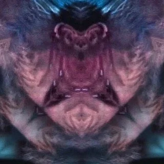 leroy.ttf [2020-11-23T20ː29ː29.000Z] CH8lvusnNMq.jpg