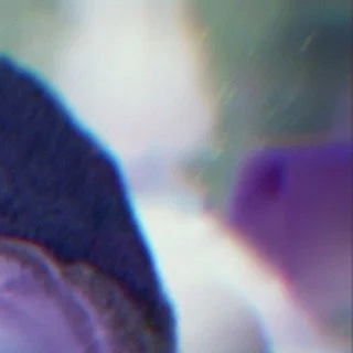 leroy.ttf [2020-09-09T21ː32ː53.000Z] CE7lYaXHY0-.jpg