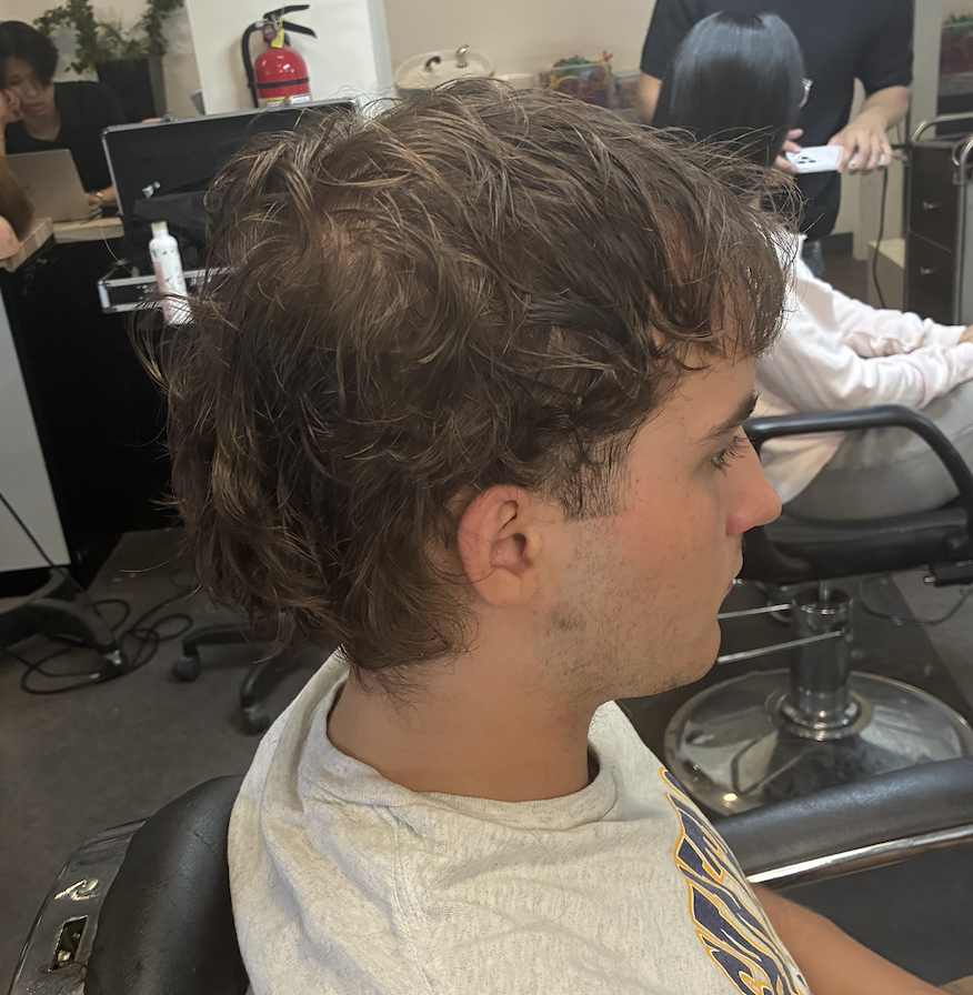 Short mullet