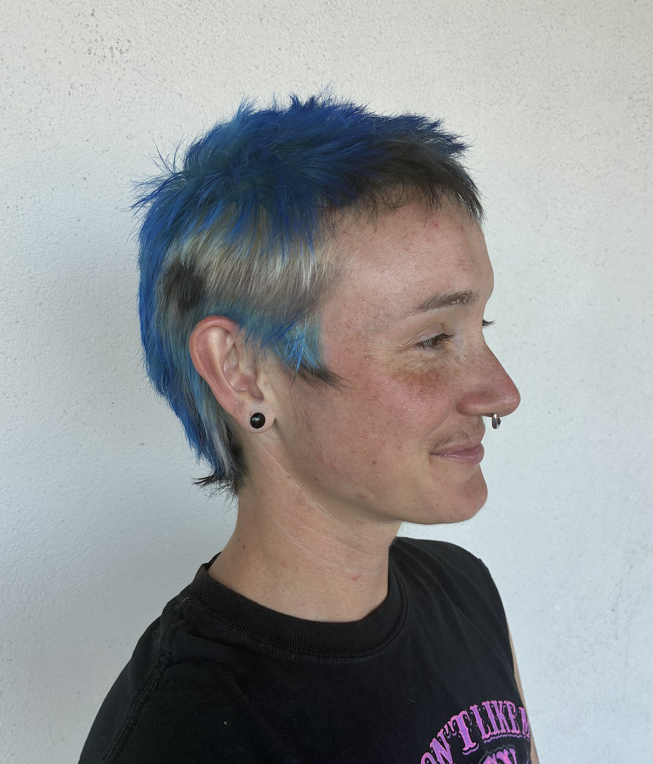 California Scrub Jay inspired dye design and short cut