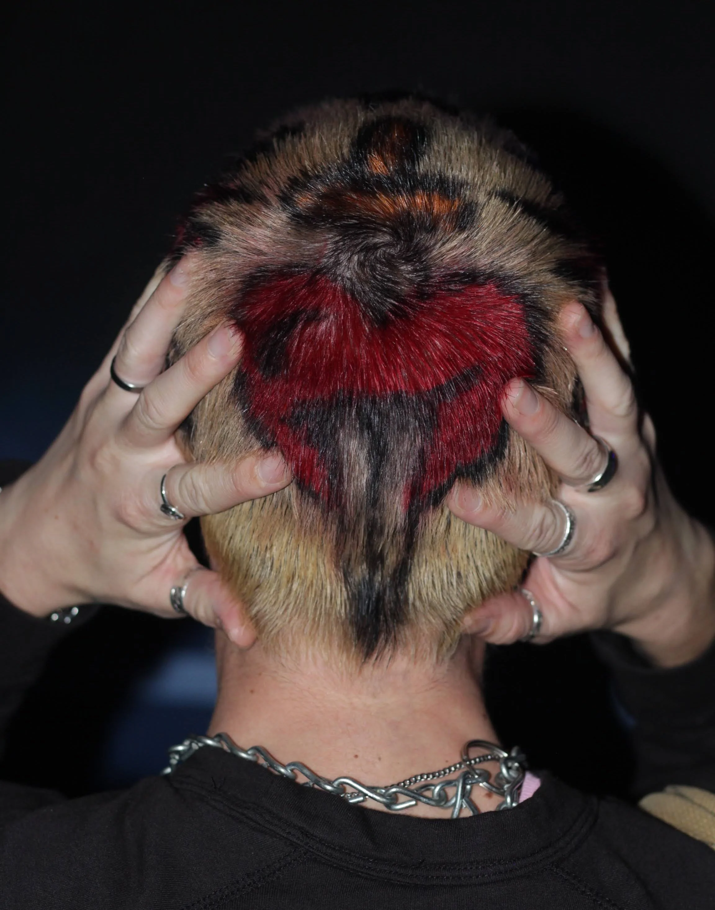 Hair Portfolio