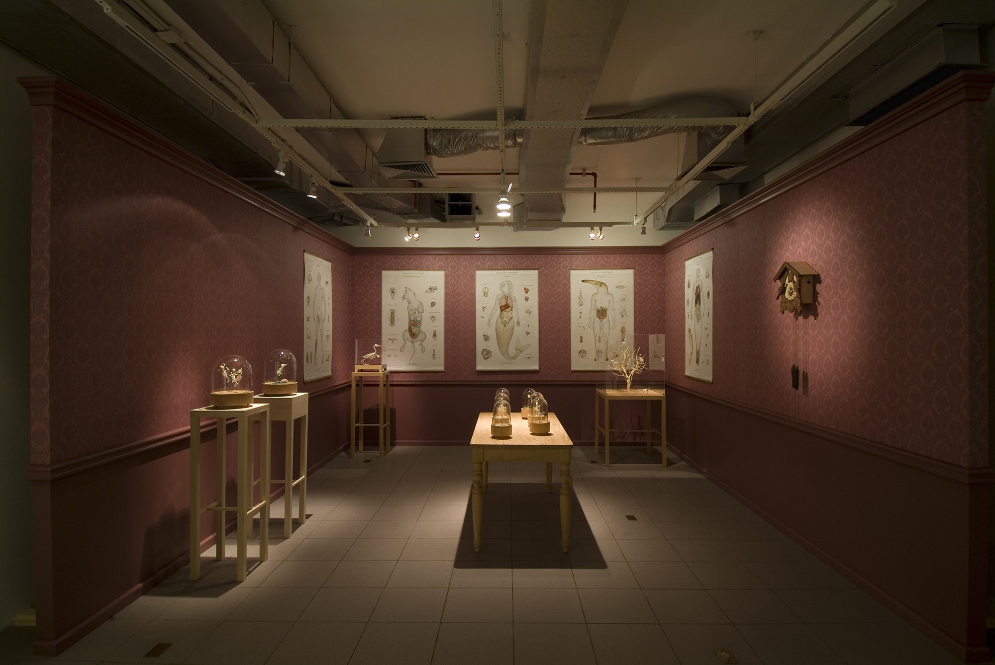 Vista da montagem de Memento Mori no Instituto Goethe, em Porto Alegre, 2007