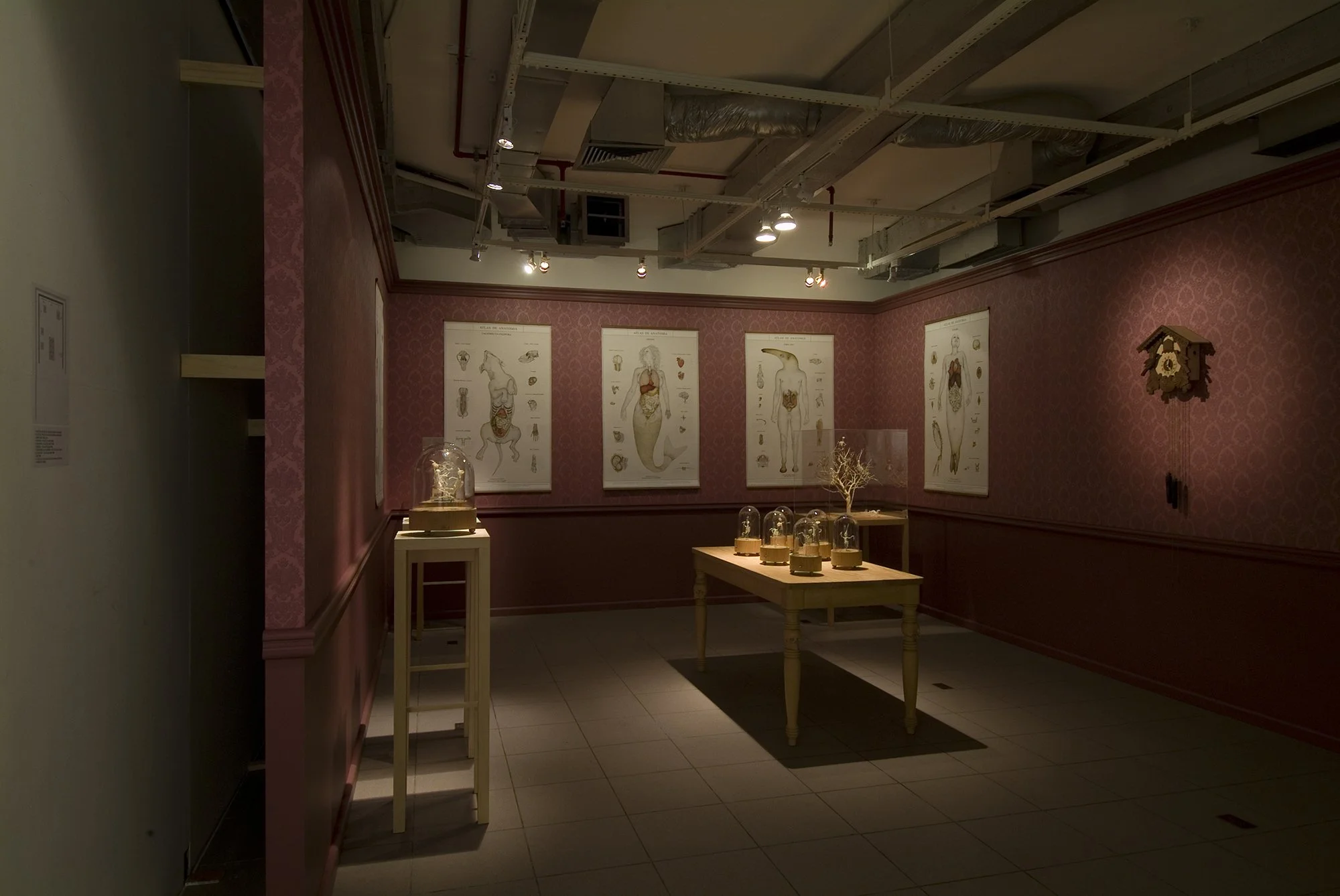 Vista da montagem de Memento Mori no Instituto Goethe, em Porto Alegre, 2007