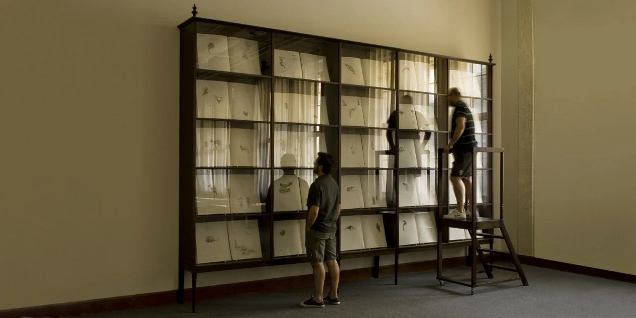 Biblioteca dos Enganos, 2009