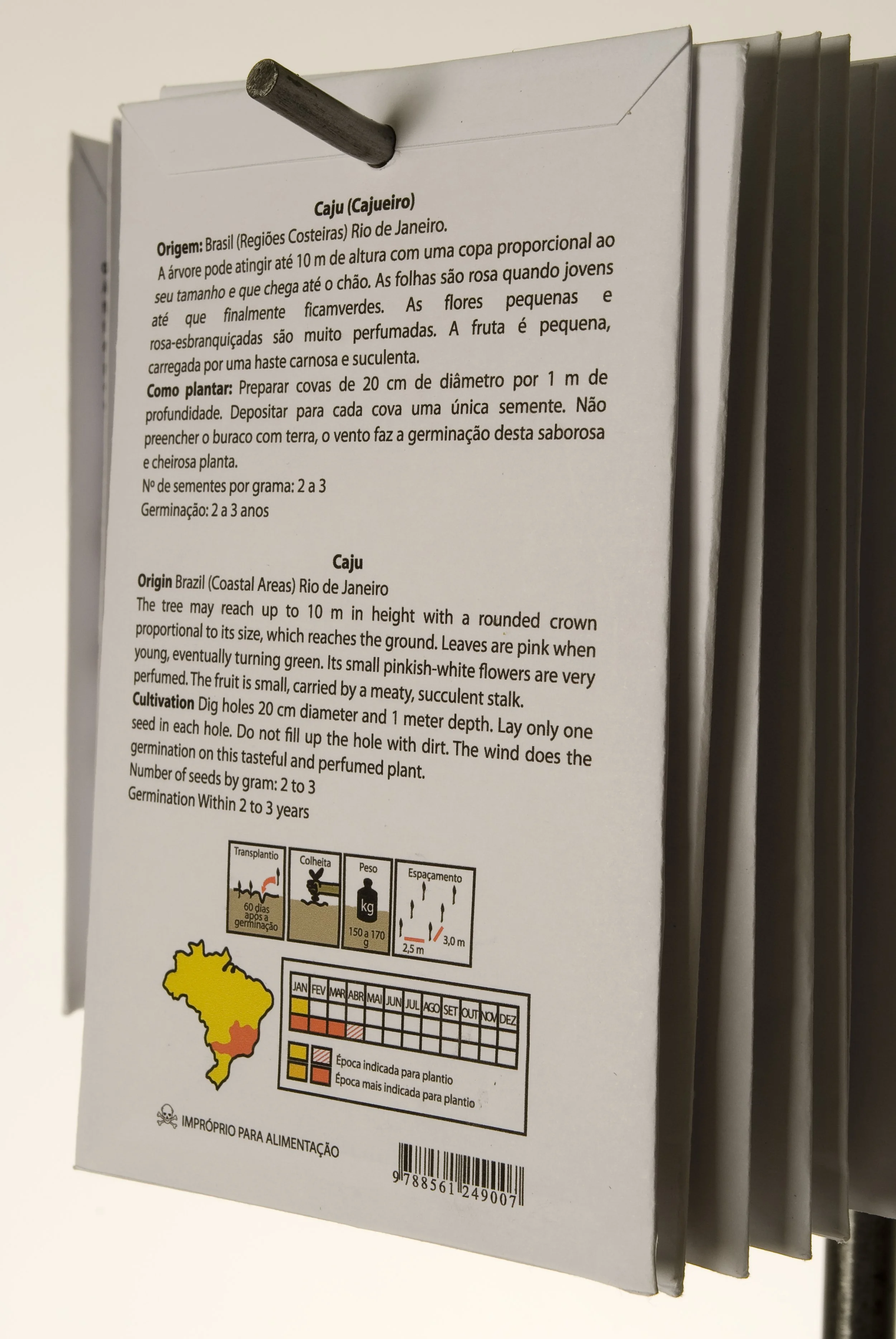  Sementeiro [detalhe], 2004-2008