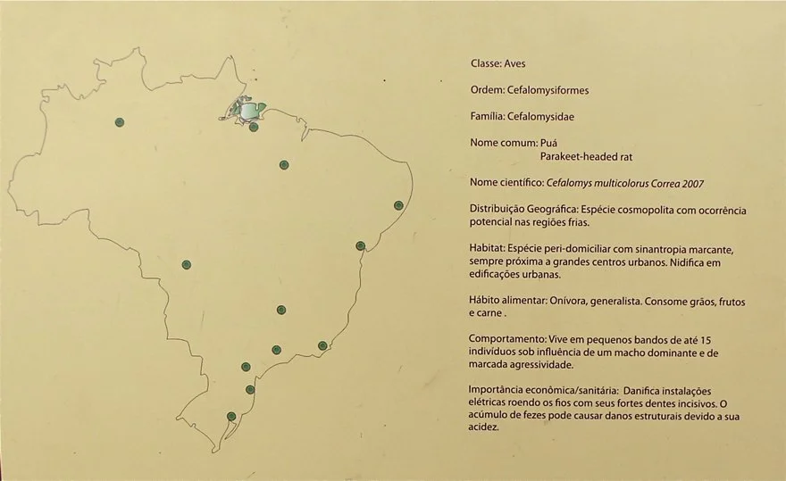 Sitio Arqueológico, 2012