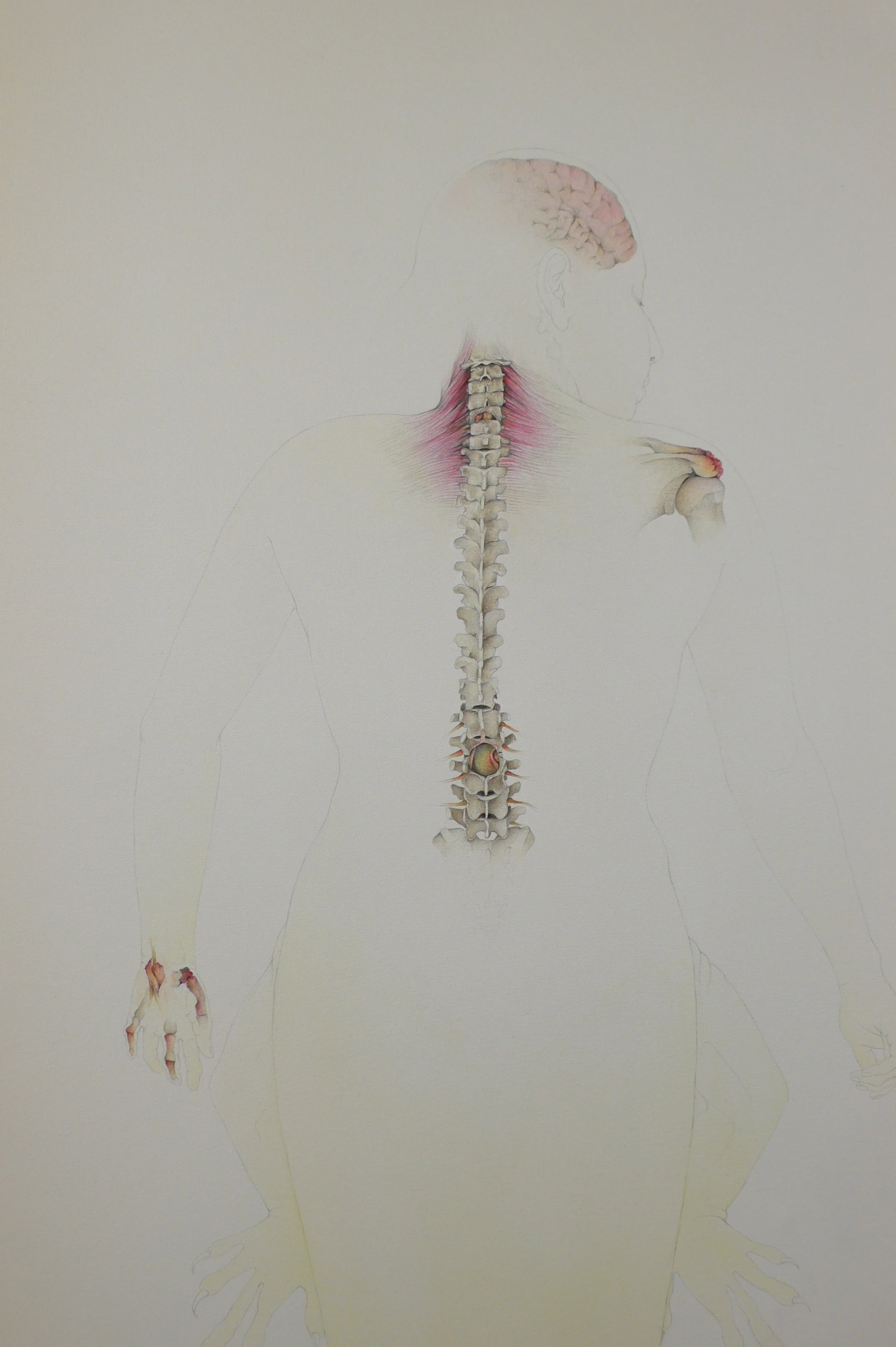 Processo da obra "Teiniaguá"