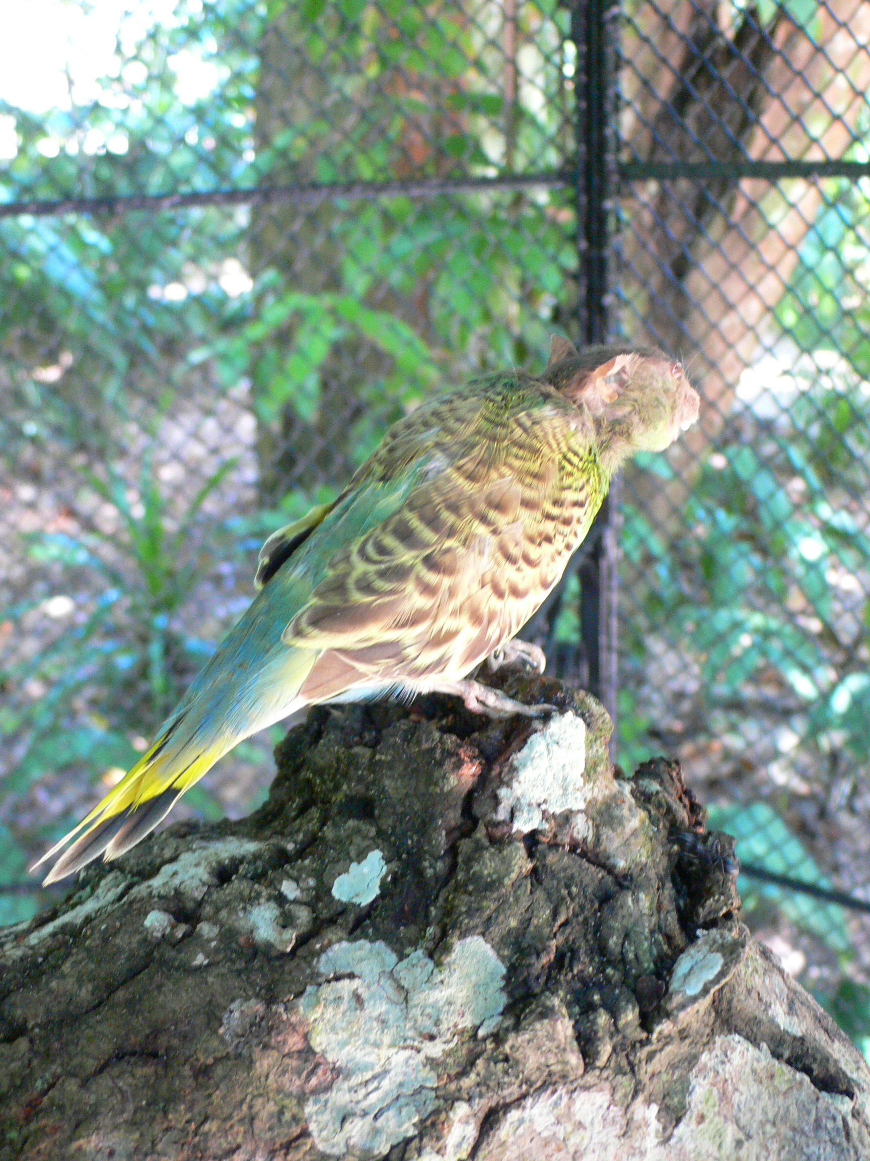 Projeto Artepará, 2008