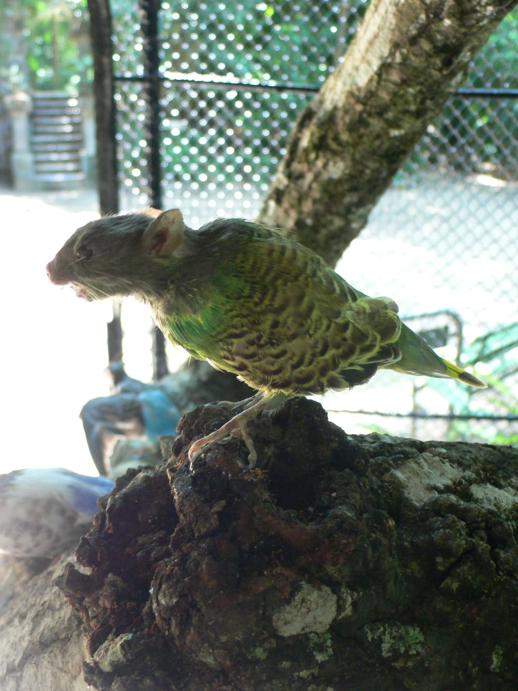 Projeto Artepará, 2008