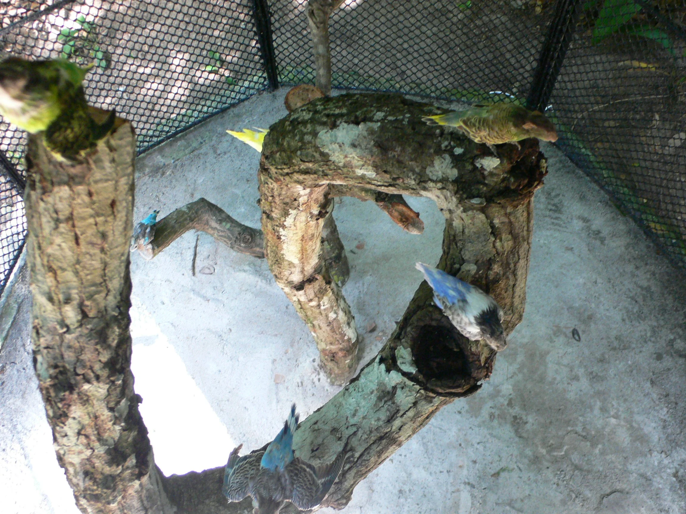 Projeto Artepará, 2008