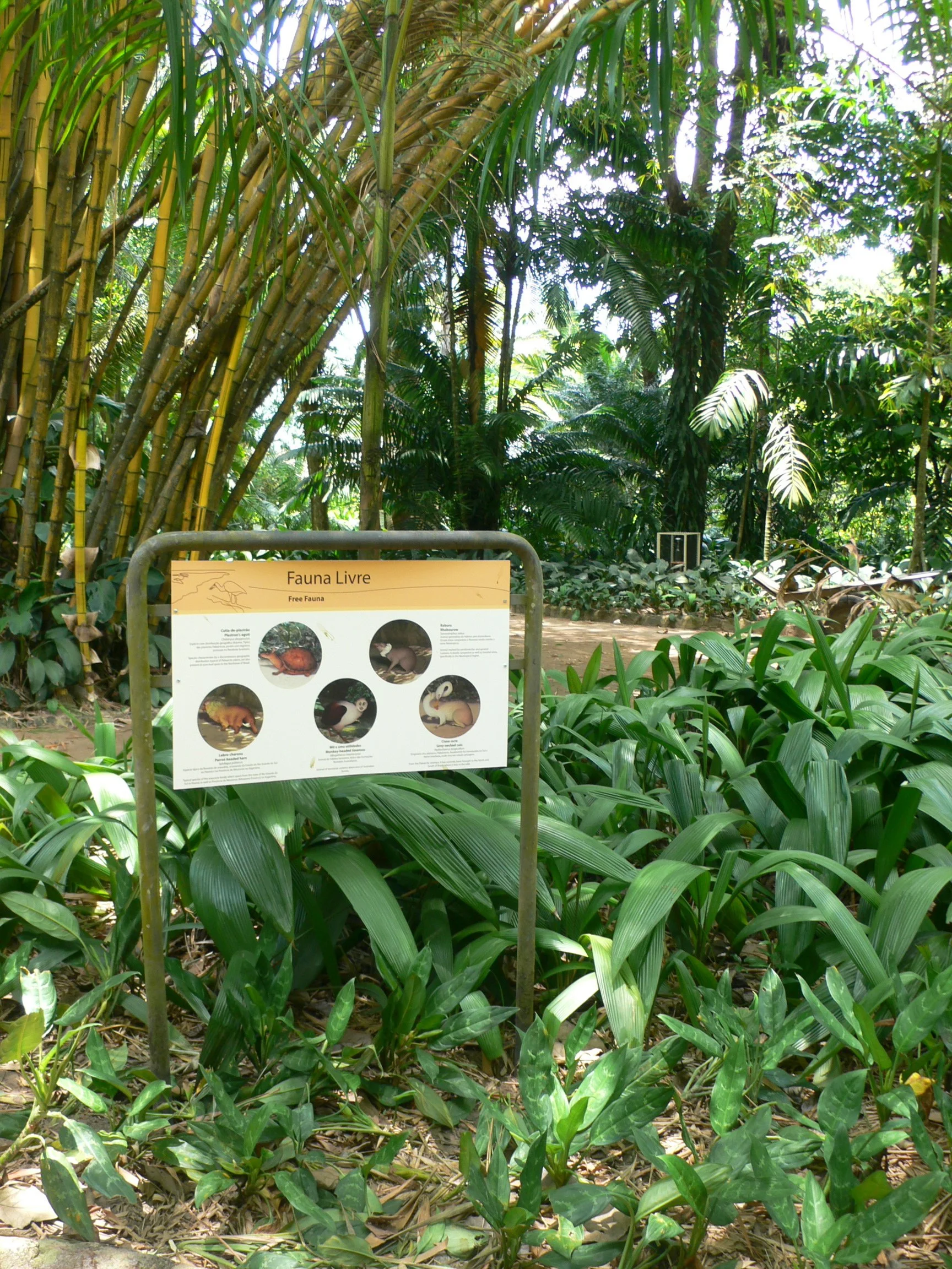 Projeto Artepará, 2008