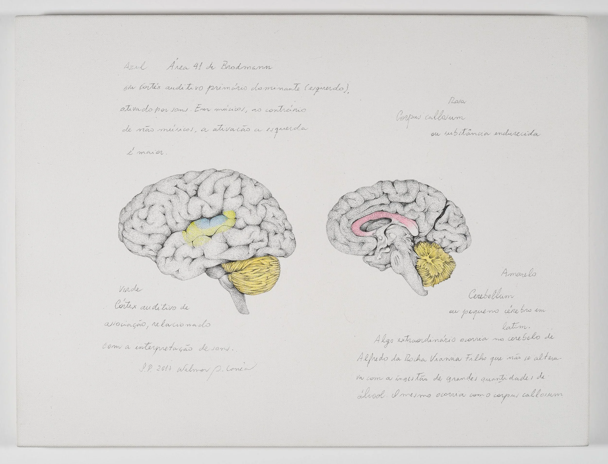 Mapeamento Cognitivo - Retrato Cerebral - Pixinguinha, 2008-2017