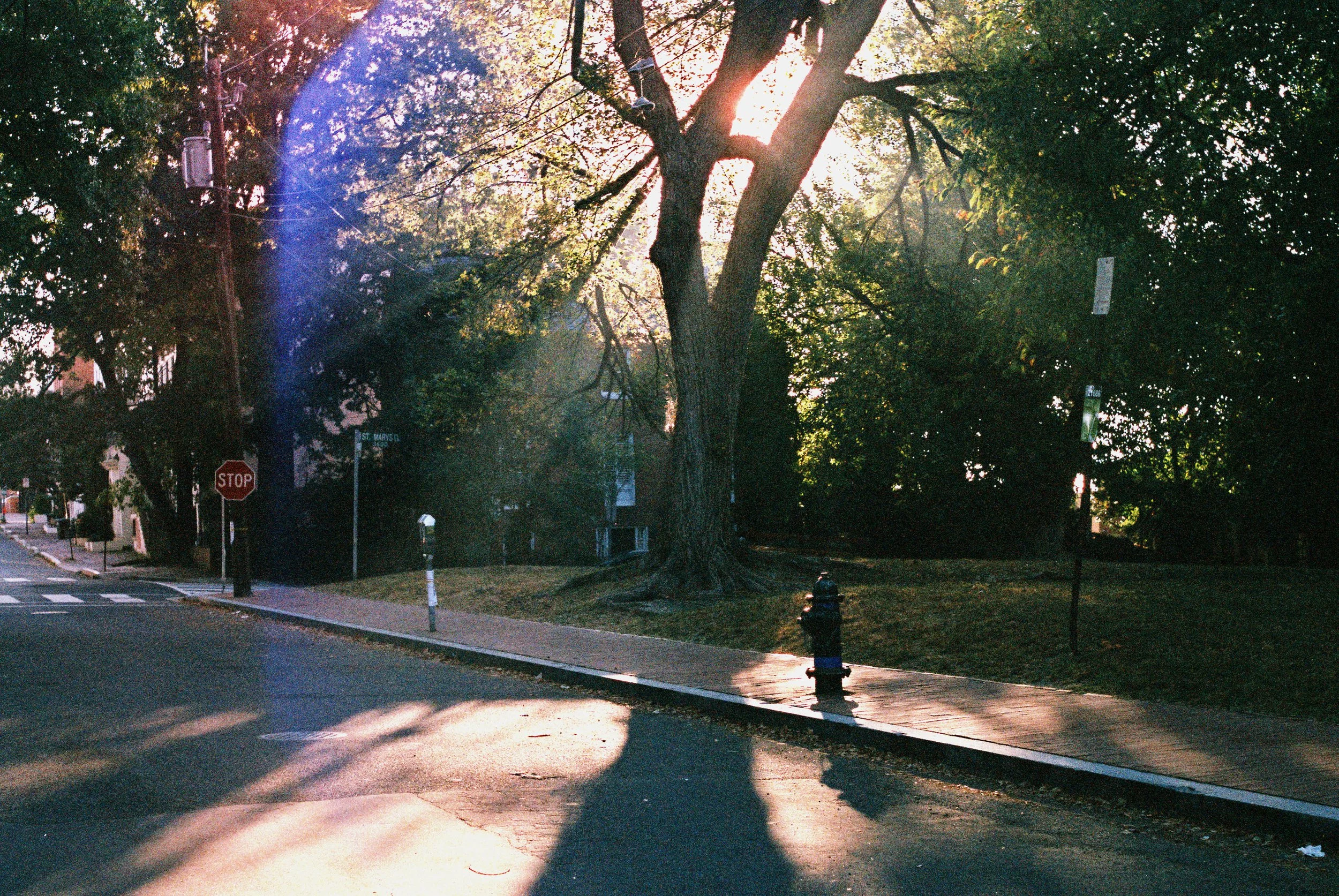 R1-07775-022A-2 copy.jpg