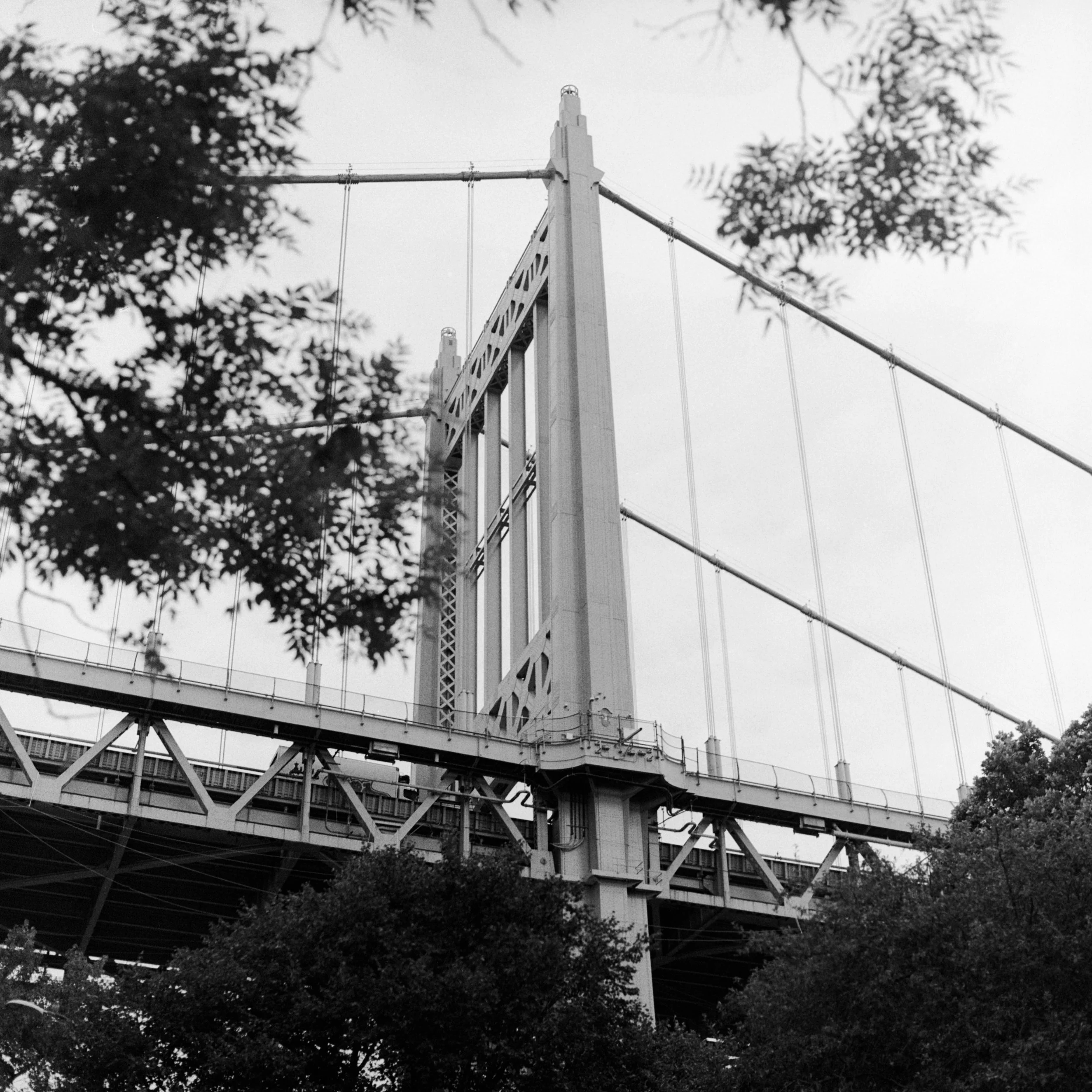 NYCBW20240905_07560756'.jpg