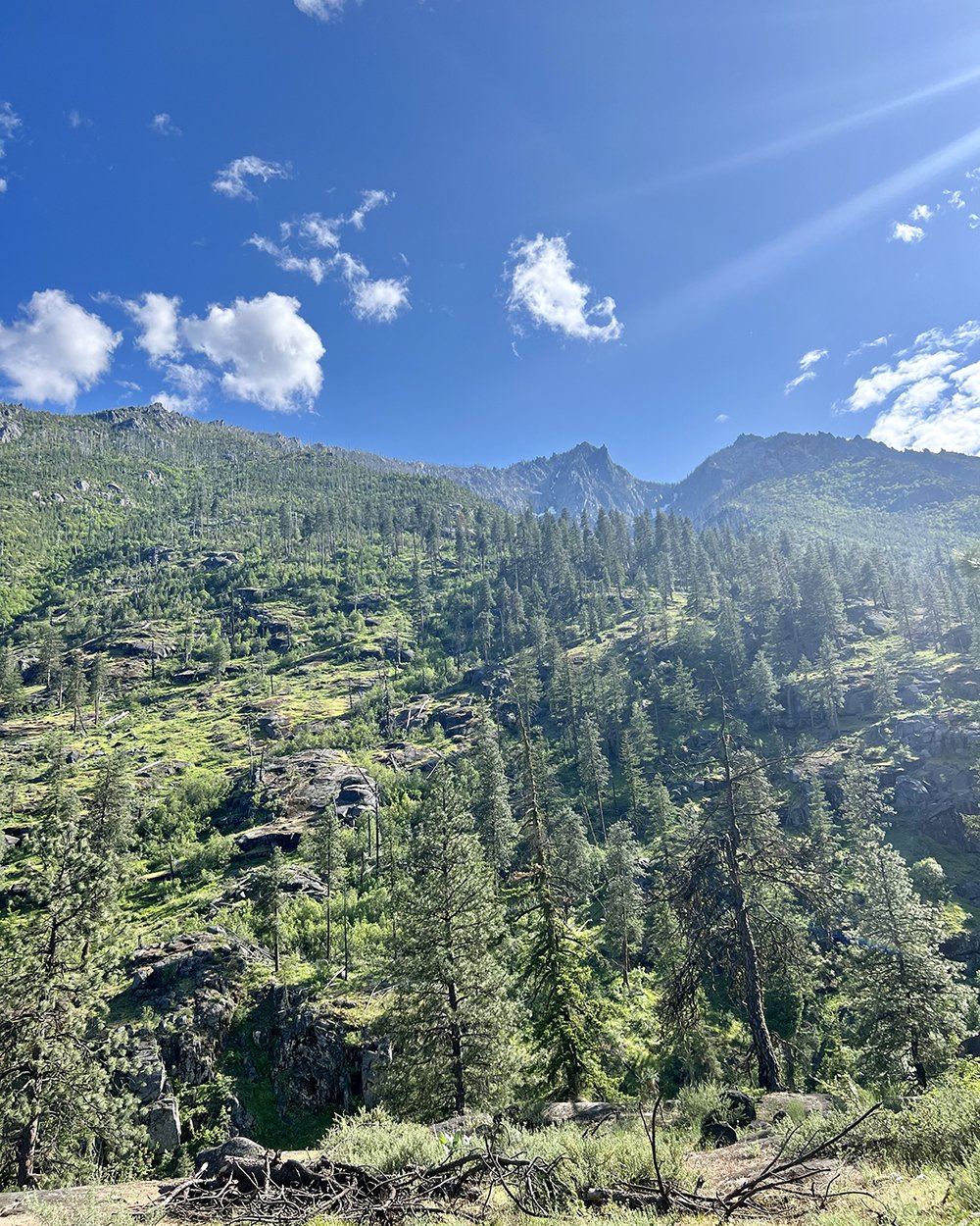  The views while bouldering in Leavenworth are stunning.  