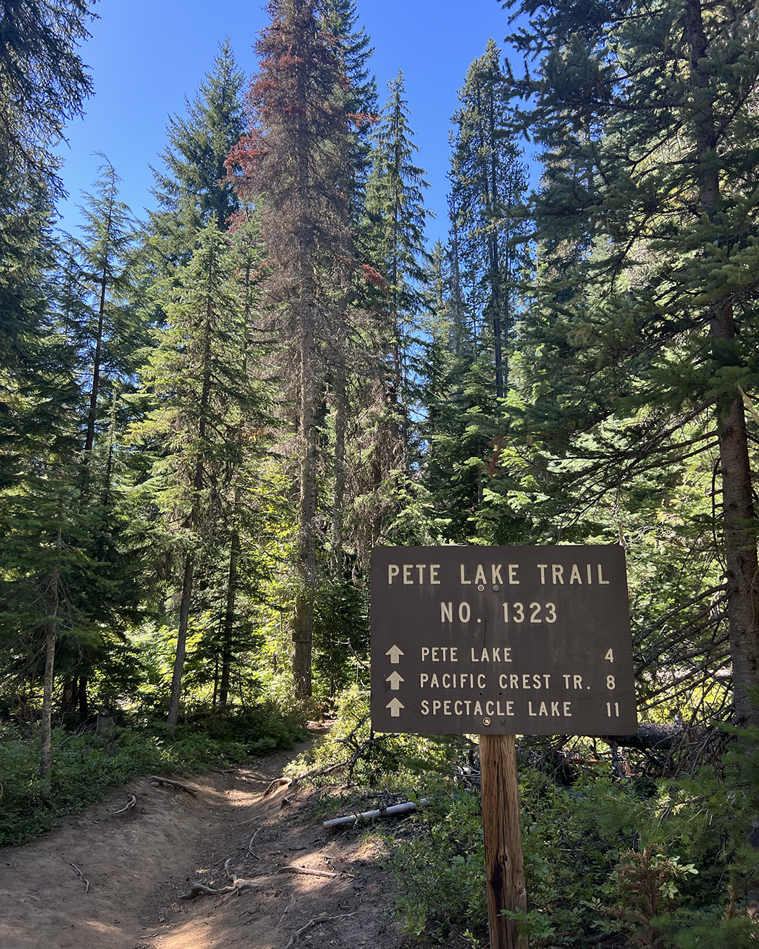  Just seeing ‘Pacific Crest Trail’ at the trailhead for Spectacle Lake got me so excited.  