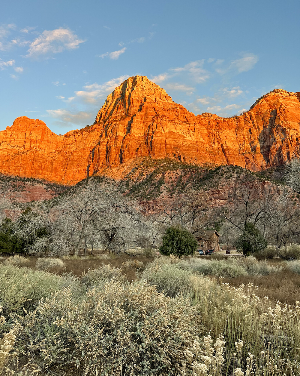  Took a rest day in Zion National Park and caught a gorgeous sunset.  