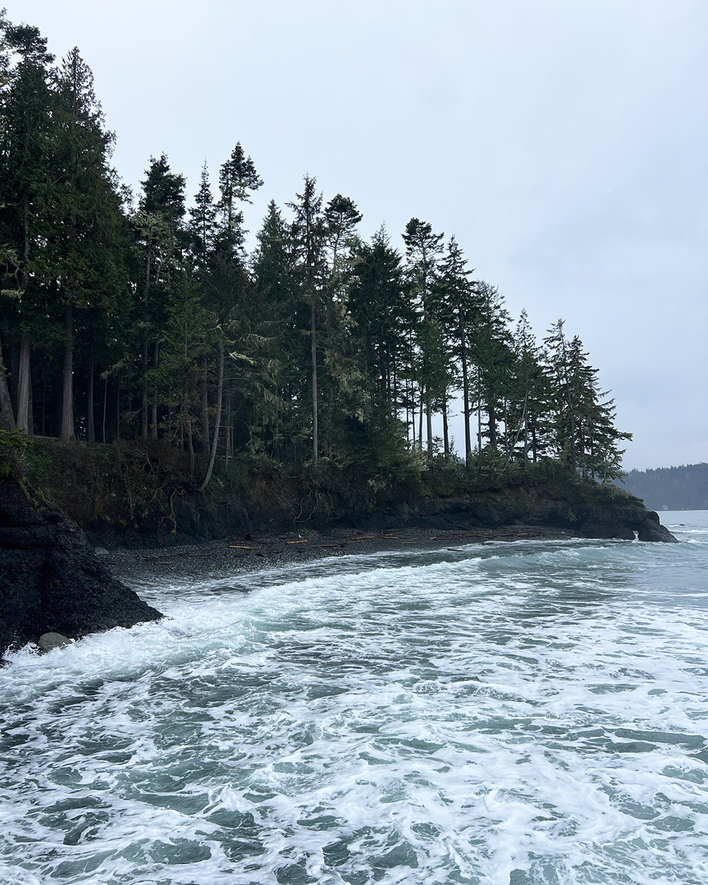Weekend in the Olympic Peninsula