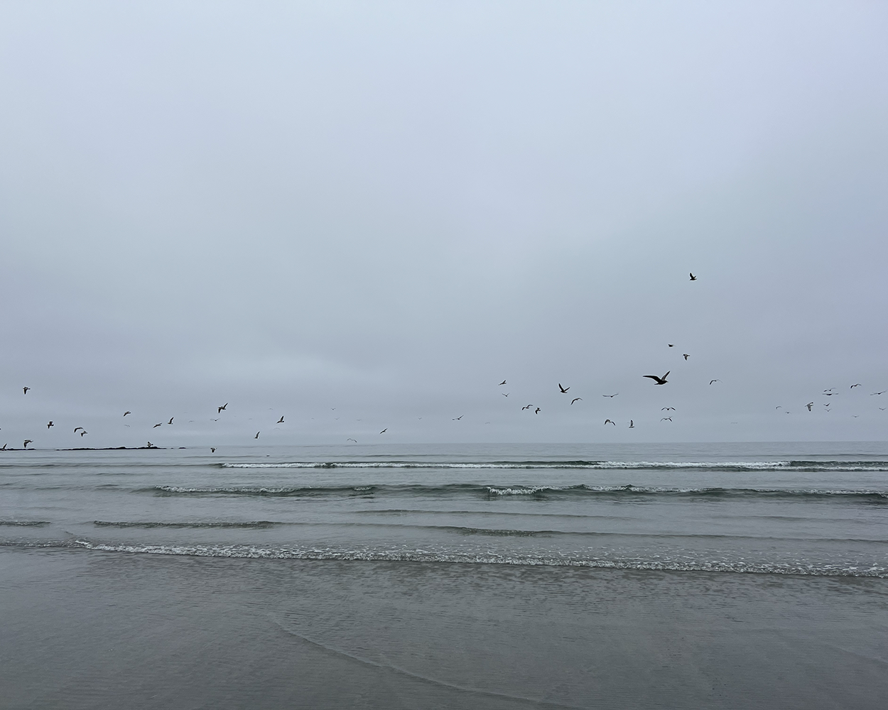 Cape Scott/North Coast Trail - Day 1