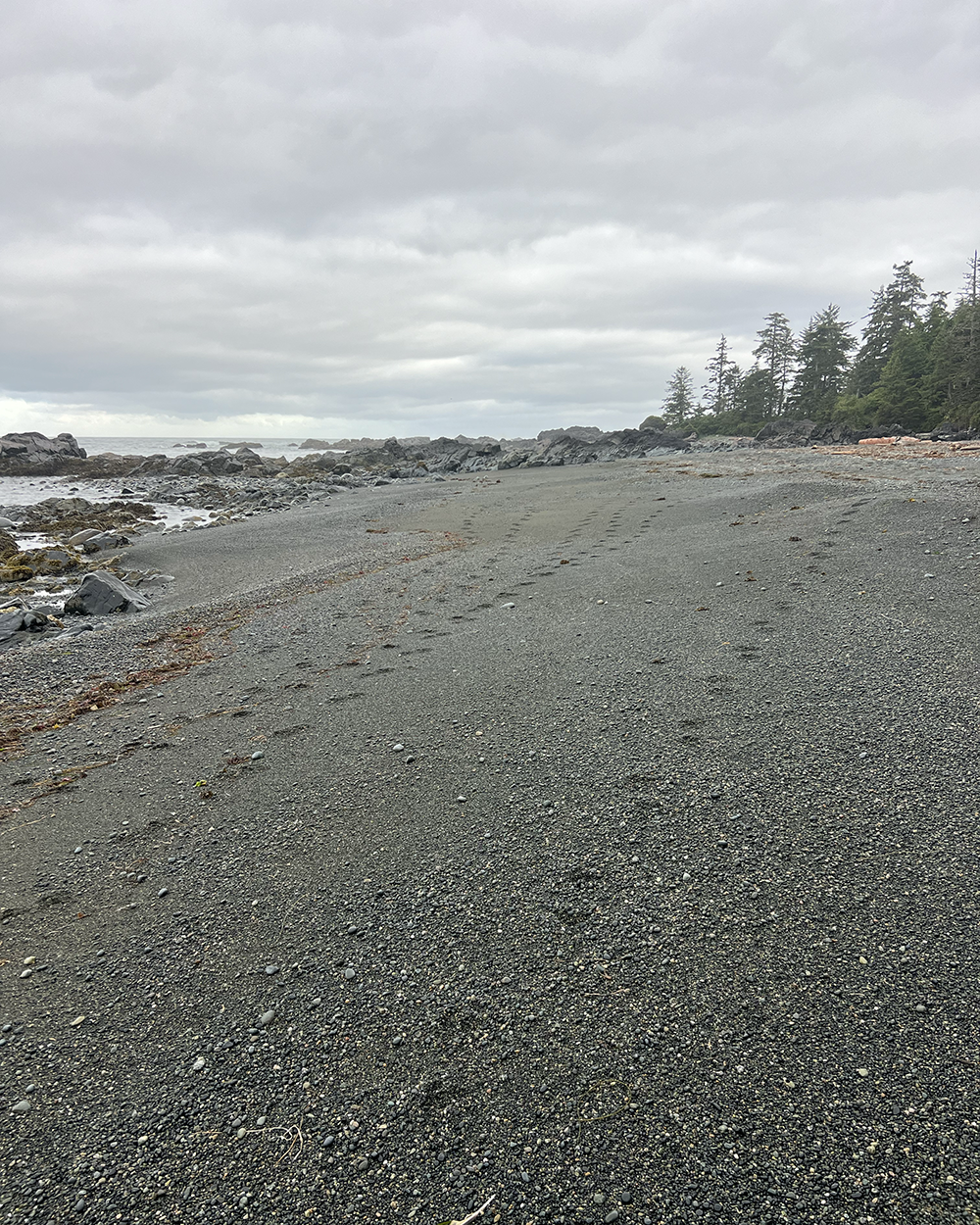 Cape Scott/North Coast Trail - Day 4