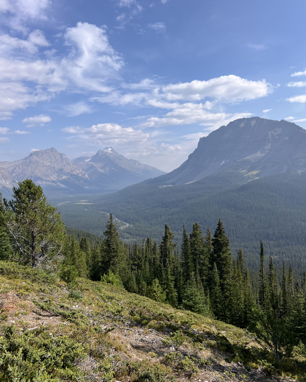  As soon as you’re out of the trees, you get great views of the mountains around you. 